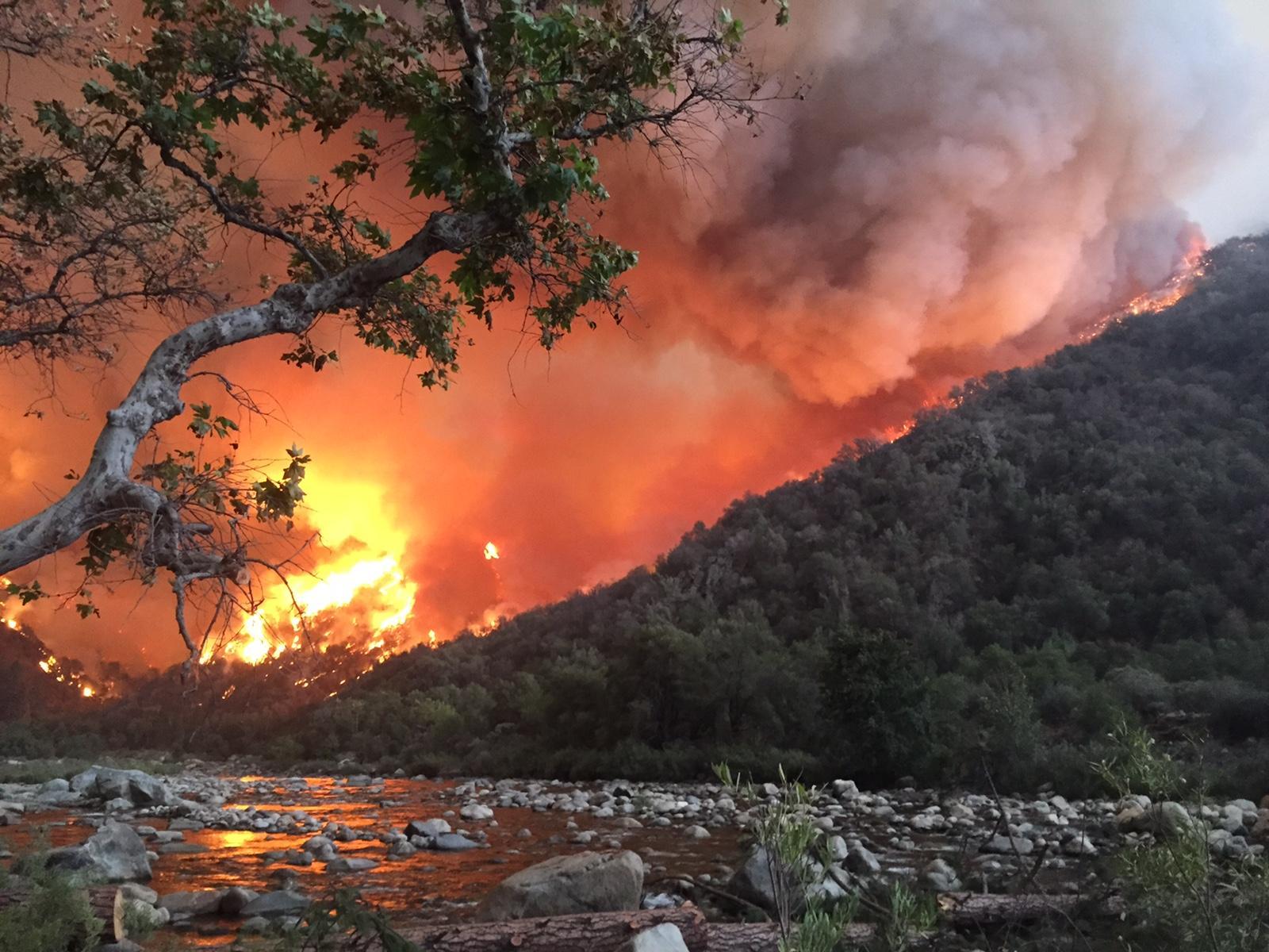 tree, riverbed, mountainside with flames and smoke in the background