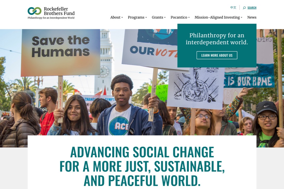 Homepage screenshot with large hero image of a large group protesting and text "Advancing social change for a more just, sustainable, and peaceful world."